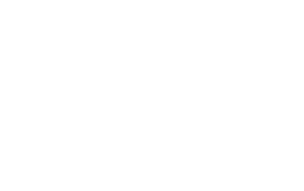 The Vampires Wife